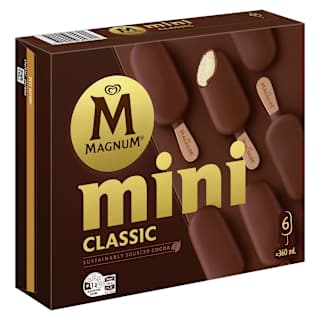 Magnum Classic Mini Ice Cream