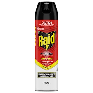 Raid One Shot Surface Odourless Crawling Insect Spray