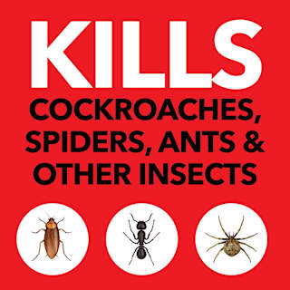 Raid One Shot Surface Odourless Crawling Insect Spray