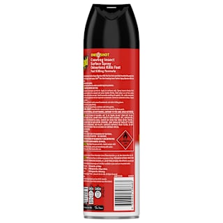 Raid One Shot Surface Odourless Crawling Insect Spray