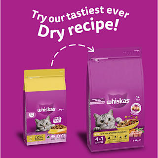 Whiskas 1+ Dry Cat Food Chicken & Turkey Flavours