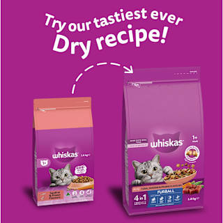 Whiskas 1+ Dry Cat Food Saradine & Prawn Flavours