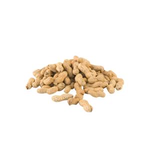 Yummy Peanuts in Shell