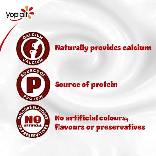 Yoplait Berry Punnet Yoghurt Multipack