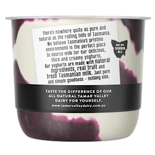 Tamar Valley Dairy Blueberries & Cream Yoghurt