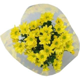 Flowers Chrysanthemum Bunch