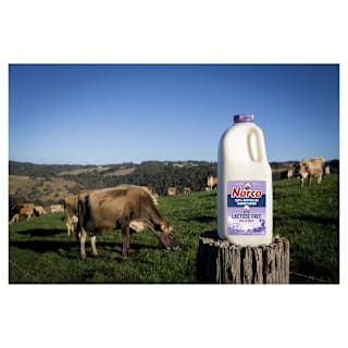 Norco Lactose Free Lite Milk
