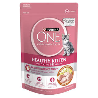Purina One Kitten Pet Food Dry Active Chicken