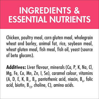 Purina One Kitten Pet Food Dry Active Chicken