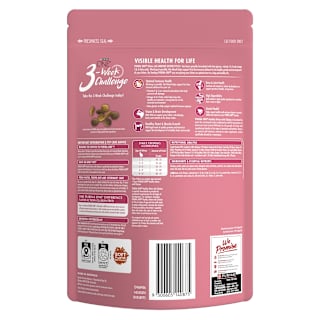 Purina One Kitten Pet Food Dry Active Chicken