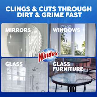 Windex Foaming Aerosol