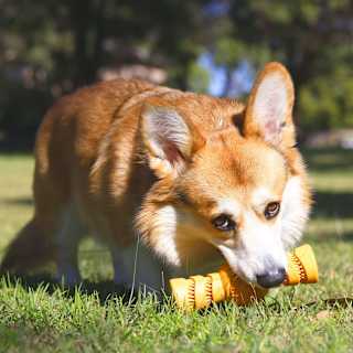 Purina Total Care Dog Toy Toy Chomper