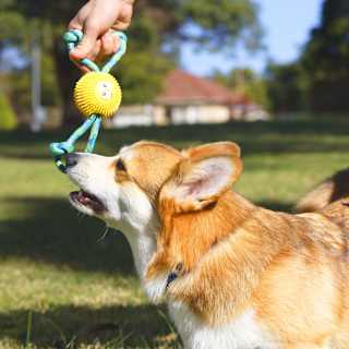 Purina Total Care Dog Toy Toy Tug Rope