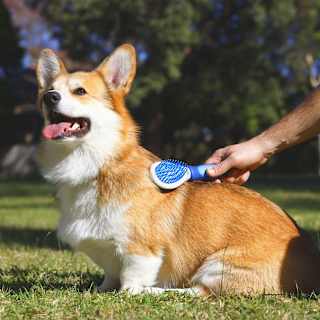 Purina Total Care Grooming Brush & Shine