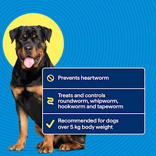 Purina Totalcare Heartwormer & Allwormer Protection Medium & Large Dogs