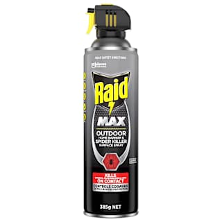 Raid Max Outdoor Home Barrier & Spider Killer Surface Spray 