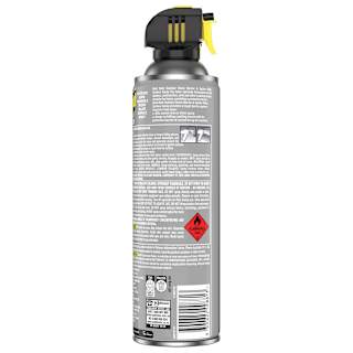 Raid Max Outdoor Home Barrier & Spider Killer Surface Spray 