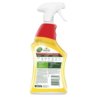 Pine O Cleen Disinfectant Spray Lemon Lime