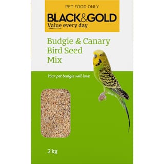 Black & Gold Budgie & Canary Mix