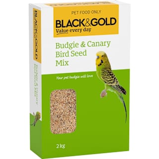 Black & Gold Budgie & Canary Mix