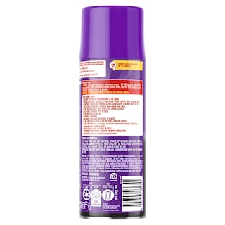 Easy-Off  Fume Free Oven Cleaner