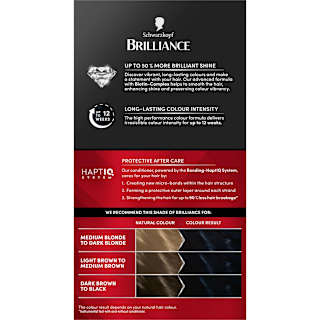 Schwarzkopf Brilliance 91 Blue Black
