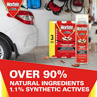 Mortein Kill & Protect DIY Insect Control Bomb Crawling Insects