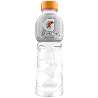 Gatorade Watermelon Chill Sports Drink