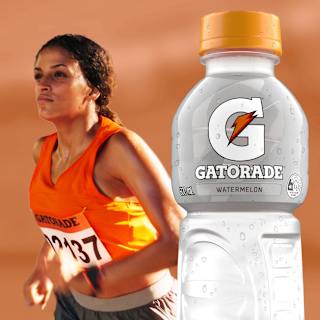 Gatorade Watermelon Chill Sports Drink