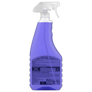 Windex Glass Cleaner Trigger Crystal Rain