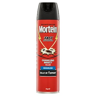 Mortein Odourless Surface Spray Crawling Insect Killer