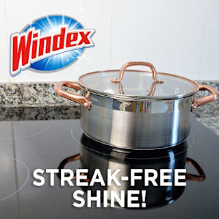 Windex Multi-purpose Surface & Glass Cleaner
