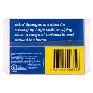 Astra Scourer Sponge Thick