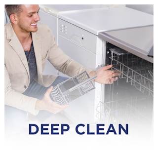 Finish Dishwasher Cleaner Liquid Original