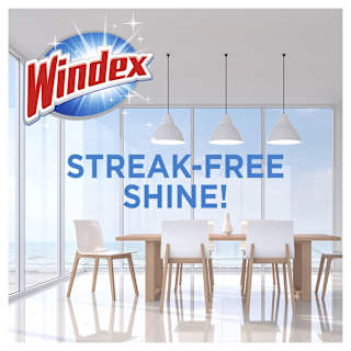 Windex Glass Cleaner Refill