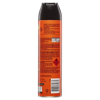 Raid Insect Spray Ant Killer