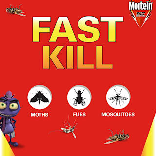 Mortein Insect Spray Odourless Aerosol Fly & Mosquito Killer