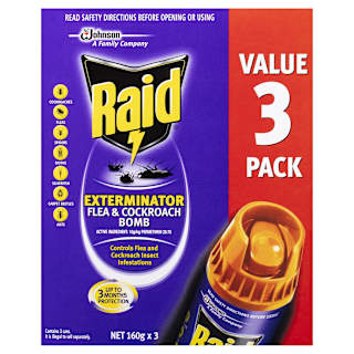 Raid Control Bombs