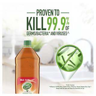 Pine O Cleen Antibacterial Disinfectant Liquid Pine