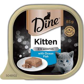 Dine Kitten Ocean Fish