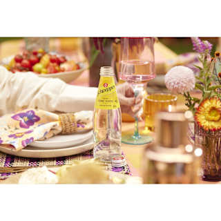 Schweppes Tonic Water 300mL Bottle