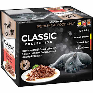 Dine Classic Collection In Gravy Succulent Selection