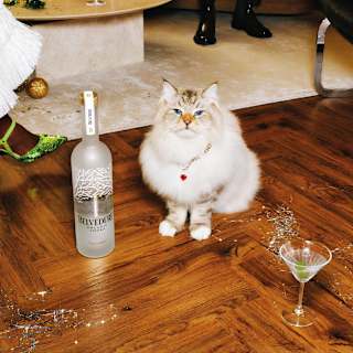 Belvedere Vodka 700mL Bottle