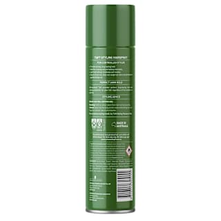 Schwarzkopf Taft Styling Hairspray Strong Hold
