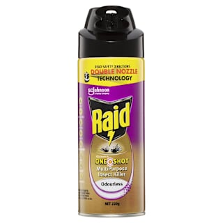 Raid Multi Purpose Insect Killer One Shot Odourless