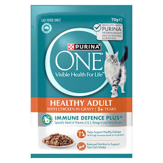 Purina One Adult Pet Food Chicken