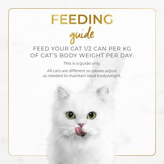 Purina Fancy Feast Classic Chicken Feast