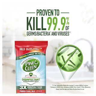 Pine O Cleen Disinfectant Wipes Fresh