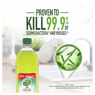 Pine O Cleen Antibacterial Disinfectant