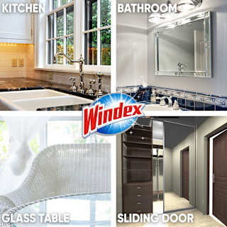 Windex Glass Cleaner